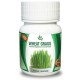 Уийтграс (Wheat gras), 40 капсули