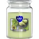 Декоративна свещ с аромат AURA MENTA AVOCADO и горене 100 часа