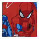 Купи Ученическа раница Spider Man 38 см.